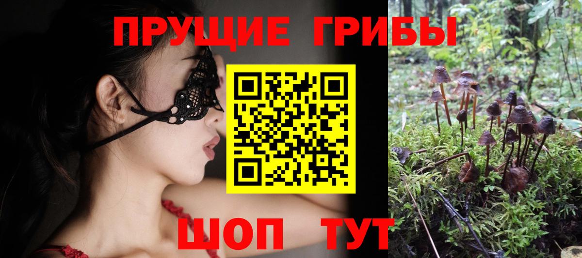 где найти   Псилоцибиновые грибы GOLDEN TEACHER  Псилоцибиновые грибы Psilocybe  Вход с VPN  Надым 