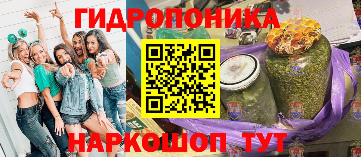 Конопля OG Kush Надым